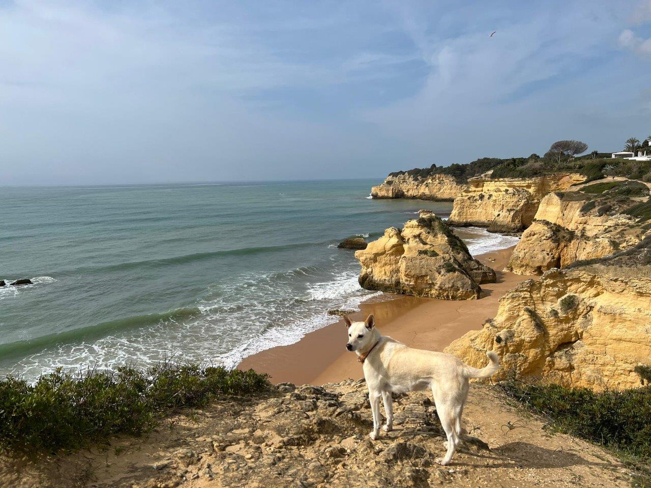 May 2022: "Golden Beaches" of the Algarve