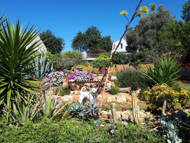April 2019: Blooming miracle
