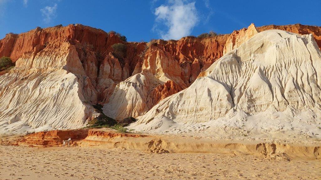 March 2024: Newsletter - TripAdvisor Travelers' Choice Award