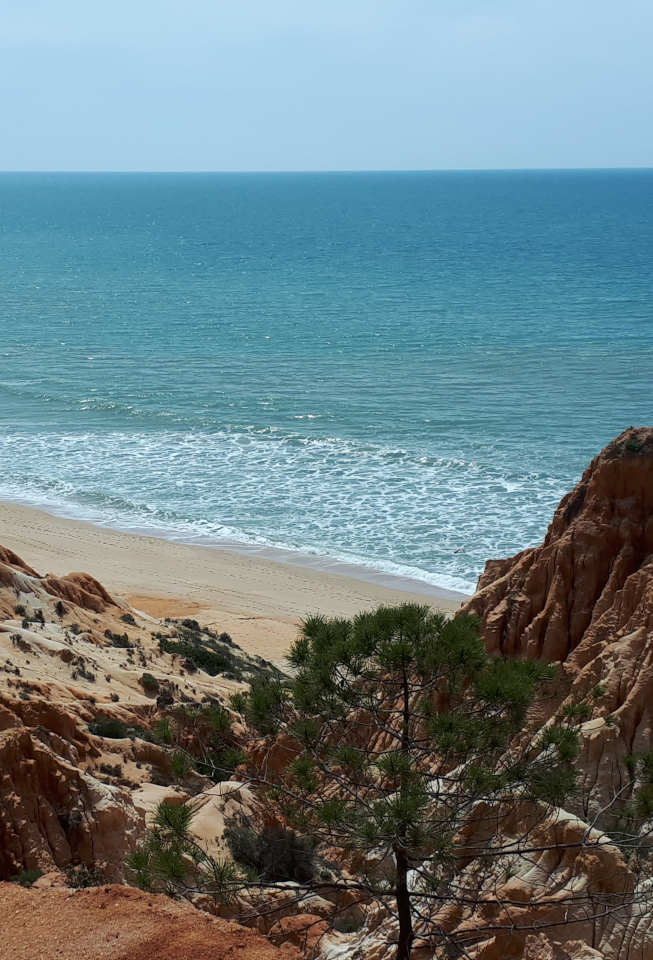 Good news - Portugal opens up
